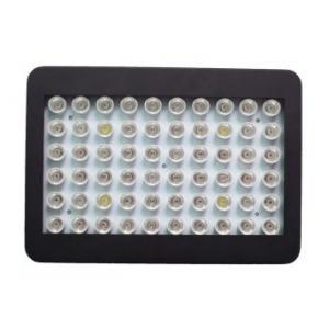 China White Color Shell High Powered LED Grow Lights 300W Full Spectrum For Greenhouse Lighting supplier