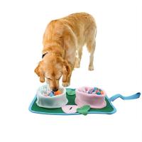 China Portable Pet Slow Food Anti-Choking Dog Bowl Folding Polar Fleece Double Food Licking Plate Food Pad on sale