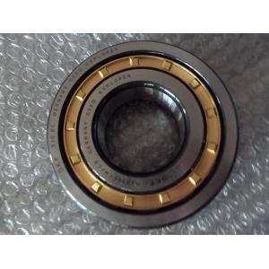Brass Sealed Cylindrical Roller Bearings , P6 Radial Cylindrical Roller Bearings