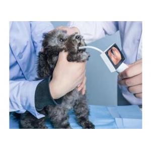 Health Care Handheld ENT Camera Digital Video Otoscope To Find Disease In Ear Nose and Throat