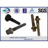 Post Anchor Screw Anchor Fence Spike Track Spike Railway Fasteners SGS / ISO9001