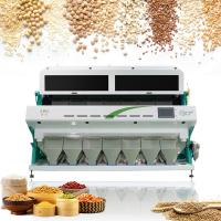 China Wheat Paddy Corn Soybean Grain Color Sorter Machine High Precision on sale