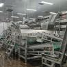 Industrial Berry Juice Processing Line 200T/Day Turnkey Solution