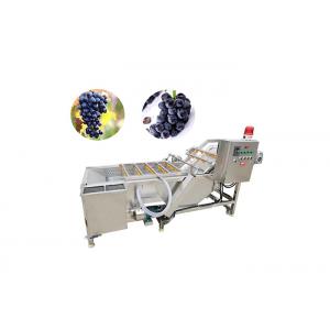 500KG/Hour Grape Drying Machine Washing Process Machines For Raisin