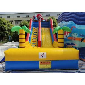Lyons new design outdoor commercial large inflatable bouncer water slide for kids