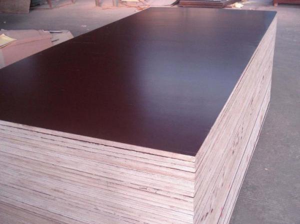 Good Quality China Factory of Commercial 18mm Plywood