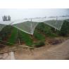 China 100% virgin HDPE Agricluture anti hail net wholesale