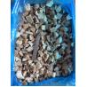 China 2025 New Crop high quality frozen Boletus Edulis Mushrooms wholesale