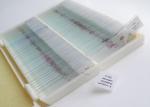 Clear Anatomy Microscope Slides Of Rat Lung With Blood Vessels Injected