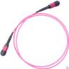 China 8 12 24 cores singlemode Multimode MTP MPO connector  fiber optic patch cord wholesale