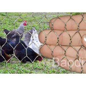 China Stainless Chicken Wire Fabric For Rabbit Protection , Low Carbon Steel Chicken Yard Fence  supplier