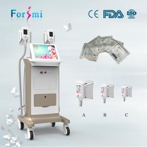 China gelo da máquina da beleza do cryolipolysis da palavra-chave que esculpe cryotherapy gordo para a redução gorda supplier