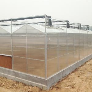 Greenhouse Plastic Sheet/PC Sheet Greenhouse with Stable Structure and Vents