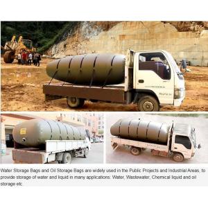 China Liquid Pac Palm Oil Storage Fibc Jumbo Bags Flexibag Container 20ft 24000L Bulk Vinger Bladder Bag Fuel Oil Transport supplier