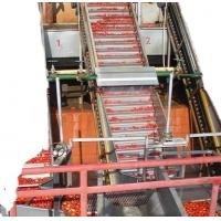 China 4000-6000bph Fruit Juice Filling Production Line For Apple Juice /Orange Juice / Tomato Paste on sale