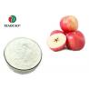 Organic Spray Freeze Dried Powder Apple Juice Concentrate Powder Apple Flavor