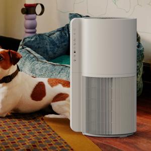 China Small Room Animal Pet Air Purifier Three Fan Speed For Pet Hair And Mold supplier
