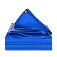 China Coated Type Pvc Coated Heavy Duty Waterproof Tarp Cover 14 mil Tarpaulin for Camping on sale