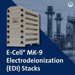 China Veolia MK-9 EDI Stack 35 GPM Ultrapure Water for Solar PV wholesale