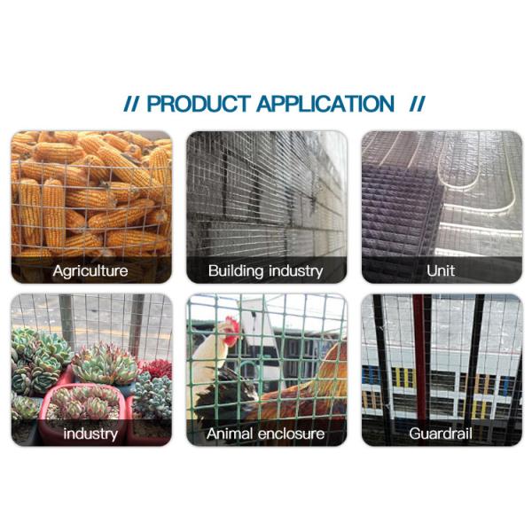 China Protección Galvanizado 2 x 2 malla de alambre soldado de calibre 8 para la venta directa wholesale