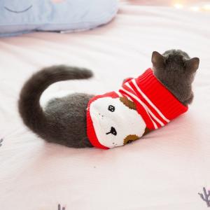 China Customized Pattern Cat Wearing Sweater , Designer Cat Clothes Size XS - XXL supplier