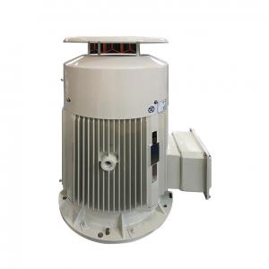 China 0.12KW - 315KW Low Voltage Electric Motor Asynchronous Electrical AC Motor supplier