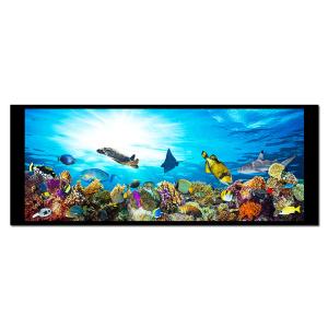 China 6,86 tipo de la barra de la pulgada 480x1280 alrededor de la luz del sol NV3051F1 legible de TFT LCD wholesale