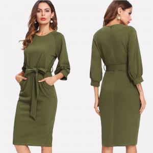 Elegant And Fashion Lady Work Dress