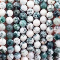 China 8mm Tree Agate Gemstone Beads Healing Crystal Stone Beads For Jewelry Making on sale