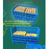 China PE Material Custom Plastic Egg Tray for Food Storage Container Sturdy Mesh Style wholesale
