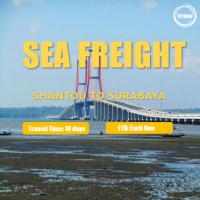 Carga de mar internacional Shantou a Surabaya Indonesia