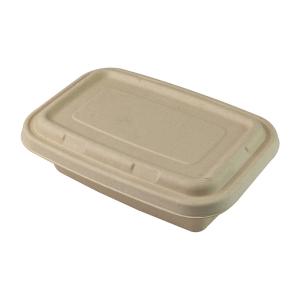 China Disposable Biodegradable Sugarcane Bagasse Food Container Set Rectangle supplier