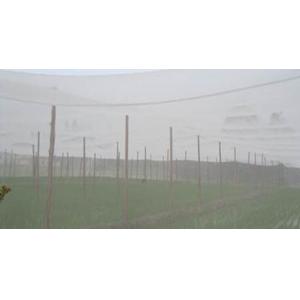 China High Humidity White Anti Insect Netting ISO 9001 100 Meters For Vegetable supplier