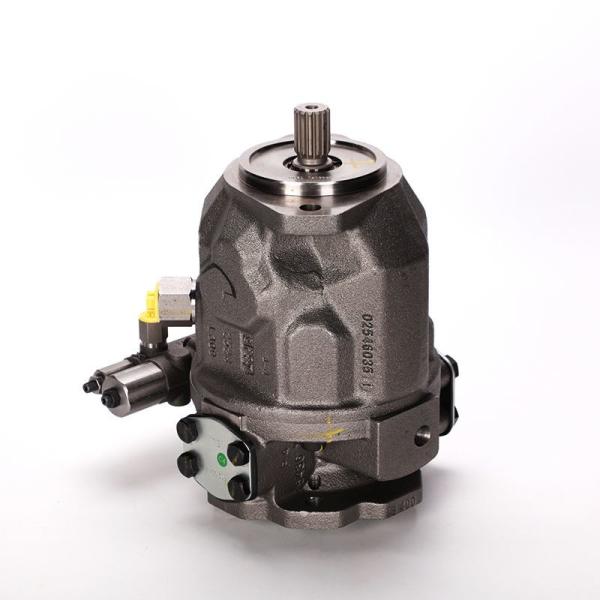 A10vso18dfr1 /31r-Vpa12n00 R910991846 Rexroth Hydraulic Pump For Injection Molding Machine