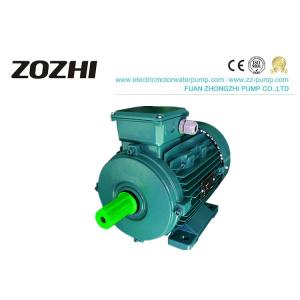 China IEC Efficiency 3 Phase Induction Motor 380 Volts IP54 IP55 For Feed Pellet Machine supplier