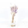 China Decorative Dried Rabbit Tail Grass , Indoor Ornamental Grass Bunny Tails wholesale
