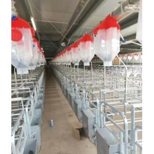 China Hot Galvanized Steel Individual Pen For Pregnant Sow supplier