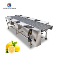 China Spot vegetable sorting equipment commercial vegetable and fruit sorting table food factory line selection table on sale