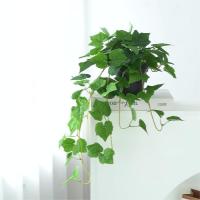China Green Vine Plastic Outdoor Hanging Plants Fake Hanging Ferns Ivy Wall Decoration on sale