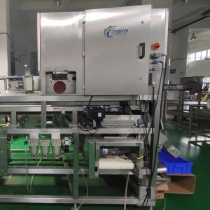 China Precision Coffee Bean Color Sorter with Touchscreen Display and Throughput wholesale