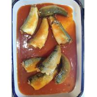 China 125g Preserved Sardine Fish With High Protein Nutrition Facts on sale