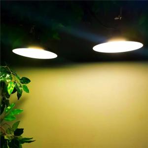 China Intelligent Solar LED Pendant Light White Warm White IP67 Infrared Remote Control Switch wholesale