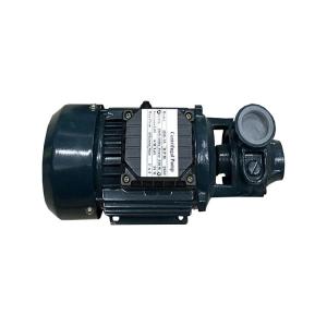 China Household Electric Motor Water Pump 1HP With Cast Iron Body ,  0.75KW Output Power supplier