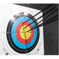 China Durable Carbon Fiber Arrows For Hunting And Targeting Practice High Accuracy on sale