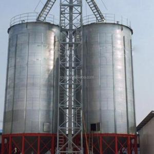 1000 Ton Grain Storage Silo for Rice Paddy Cereal Corn Wheat at Competitive