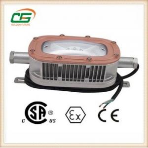 China IP67 30w Warm White LED Flood Light Cree CSA CE , Stainless Steel LED Light supplier