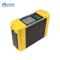China PTM300 Infrared Portable Syngas Analyzer Patented NDIR And TCD Technology on sale