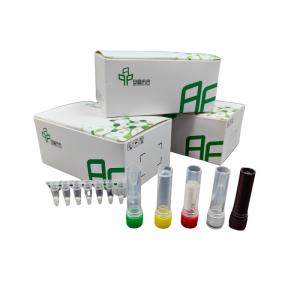 China High Sensitivity RNA Amplification With Improved Detection Isothermal Kit wholesale