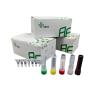 China High Sensitivity RNA Amplification With Improved Detection Isothermal Kit wholesale
