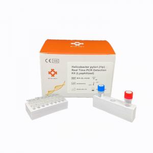 Gastrointestinal Disease Molecular Diagnostic Helicobacter Pylori  Hp PCR Detection Kit